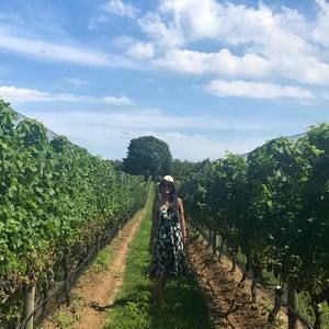 Meet your Posher, Priscilla